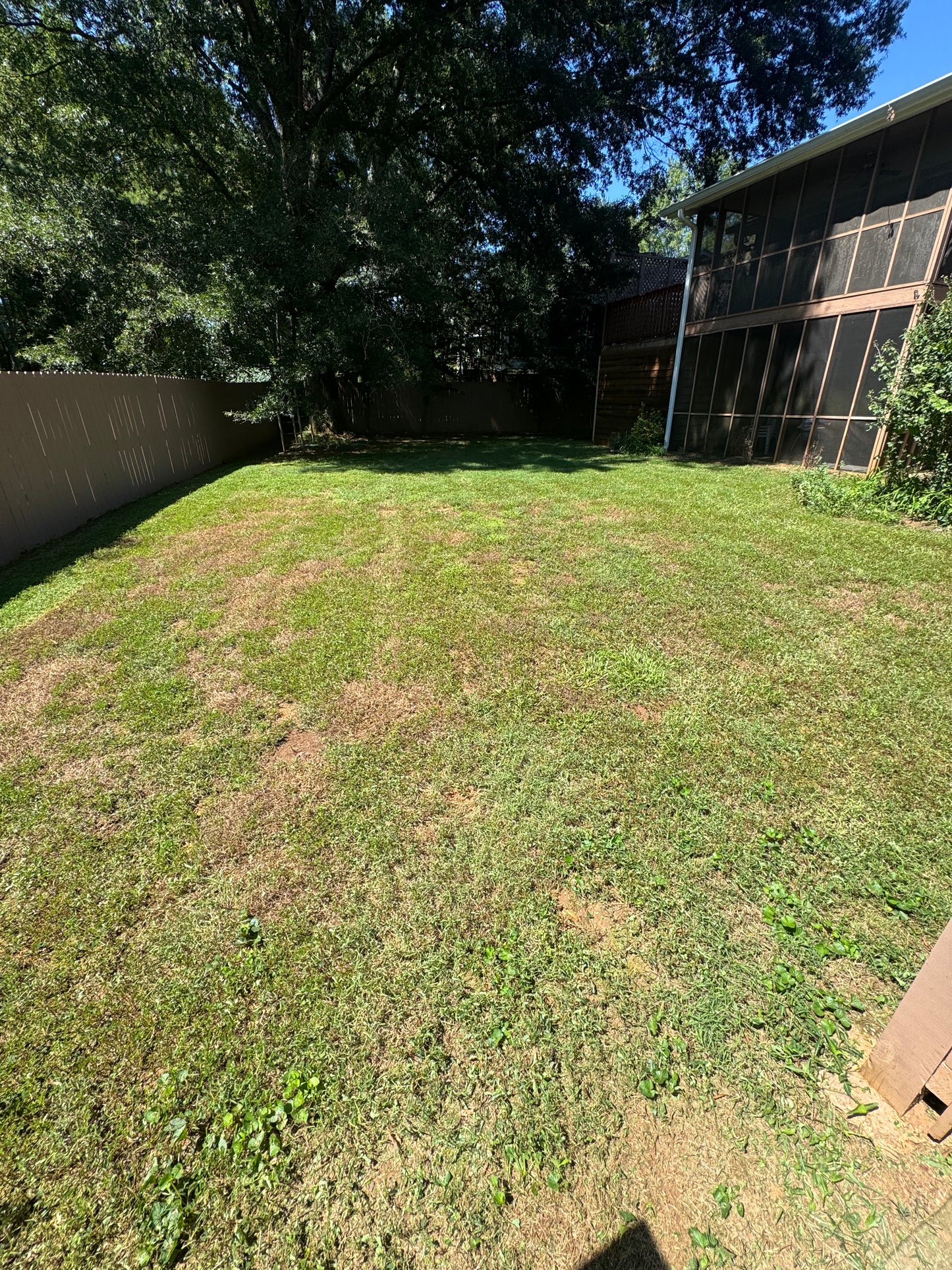 Lawn Maintenance