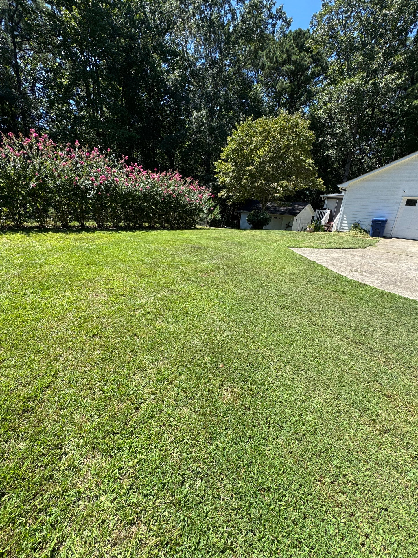 Lawn Maintenance